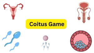 Coitus Game